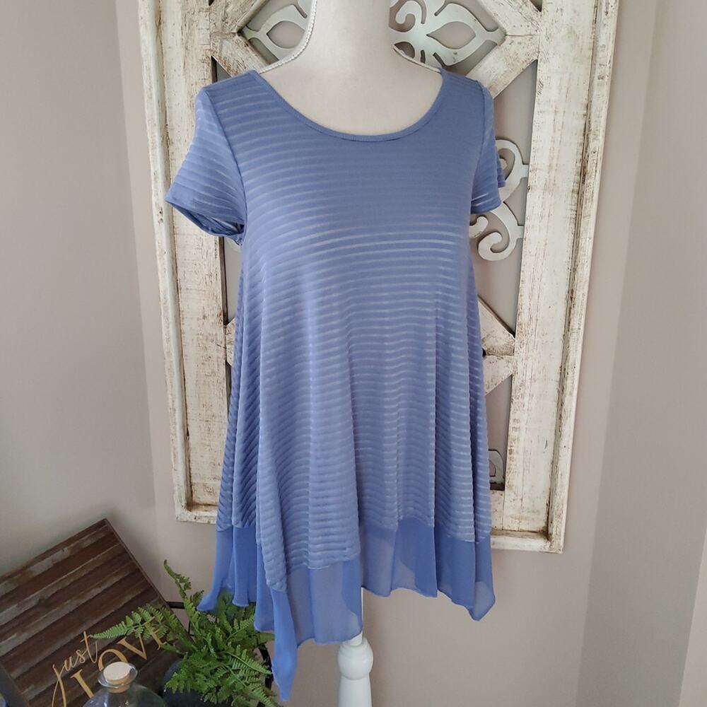 Alya from Francesca's Women's Short Sleeve Ruffle Asymmetric Hem Tunic Top Blue